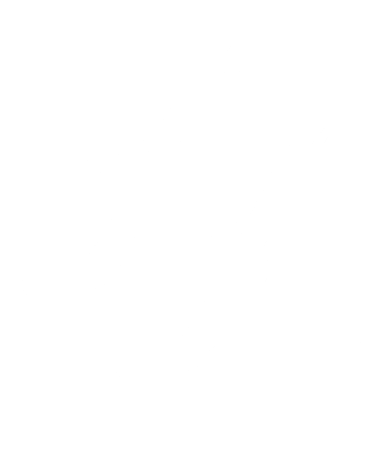 Luciano Legal